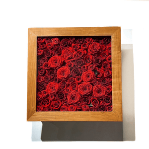 Rouge Noble　#13593