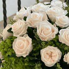 画像をギャラリービューアに読み込む, Noble ノーブル　#13664
