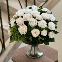 画像をギャラリービューアに読み込む, Noble ノーブル　#13664
