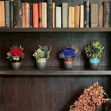 画像をギャラリービューアに読み込む, Domani mug Rose arrangement #13665
