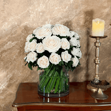 画像をギャラリービューアに読み込む, Premier ~プルミエ~ 60 #13677
