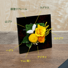 Load image into Gallery viewer, 彩陽 さいよう  #13727
