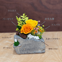 画像をギャラリービューアに読み込む, 陽和 ひより   #13729
