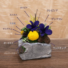 Load image into Gallery viewer, 月和 つきわ   #13730
