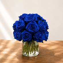 Load image into Gallery viewer, Premier  M #8431M
