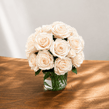 Load image into Gallery viewer, Premier  M #8431M

