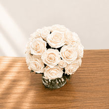 Load image into Gallery viewer, Premier  M #8431M
