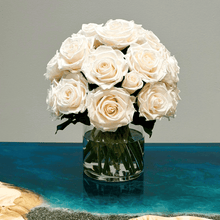 Load image into Gallery viewer, Premier  M #8431M
