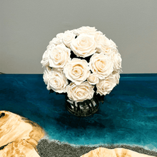 Load image into Gallery viewer, Premier  M #8431M
