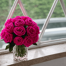 Load image into Gallery viewer, Premier  M #8431M
