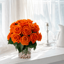 Load image into Gallery viewer, Premier  M #8431M
