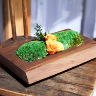 Solid wood x plants roses無垢プランツ S ～ローズ～　#13198
