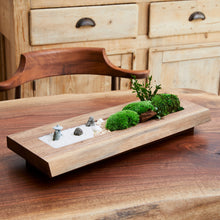 Load image into Gallery viewer, Solid wood x plants 無垢プランツ 　#13195-6
