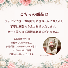 Load image into Gallery viewer, 清花(きよか) M　#13281
