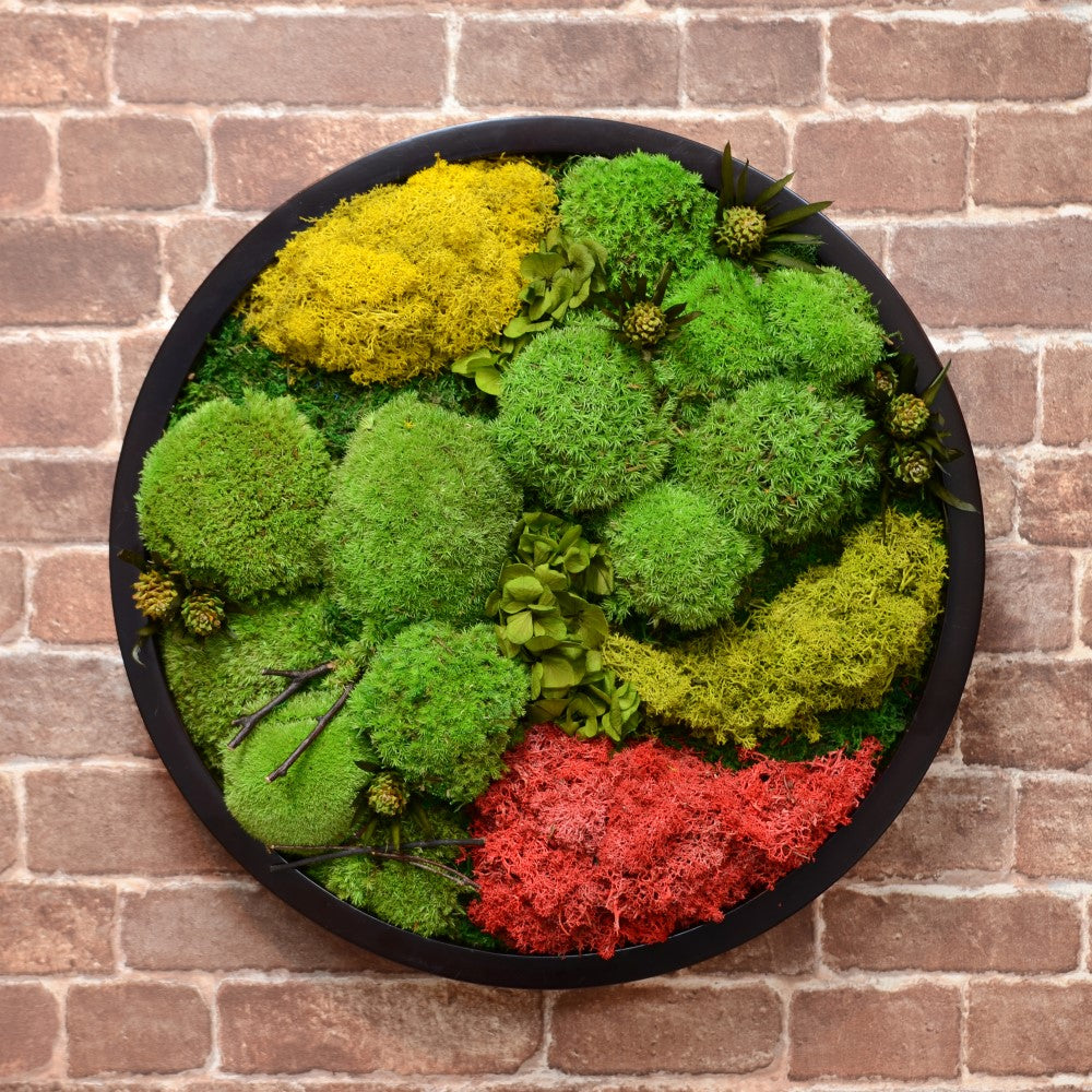 COLOR：Moss – GINZA SOBI FLOWERS