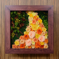 Rose-Garden-60　#11637
