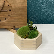 Tsumugi つむぎ　#12483-Moss
