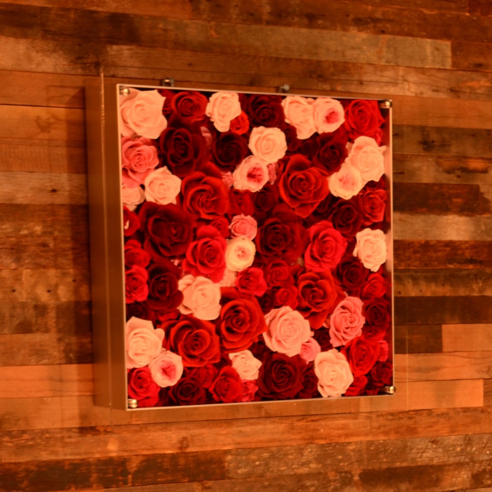 紅葉 Koyo ★の代理人 専用Albacor de molla bなど３本 Koyo Taper Roller Bearing Tr0708-1r with Good Quality ABEC3